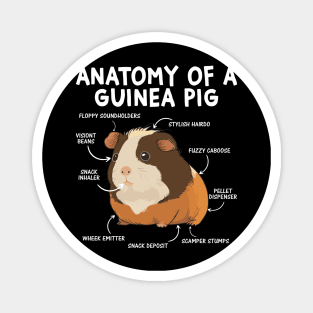 Anatomy Of A Furry Potato Guinea Pig Lover Magnet